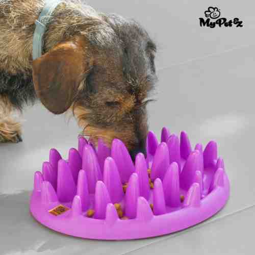 Castron pentru Hrană Interactiv pentru Animale de Companie Slow Food Bowl My Pet Ez