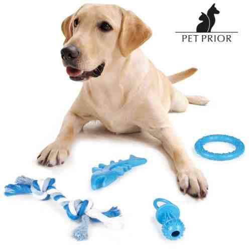 Jucării pentru Câini (set de 4)