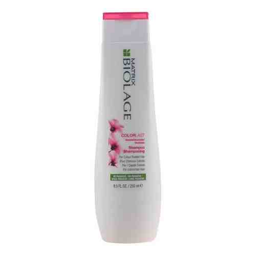 Matrix - BIOLAGE COLORLAST shampoo 250 ml