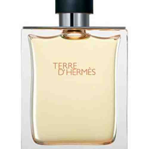 Hermes Terre EDT 100 ml Barbatesc