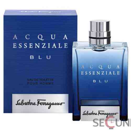 Salvatore Ferragamo Acqua Essenziale Blu EDT 100 ml Barbatesc