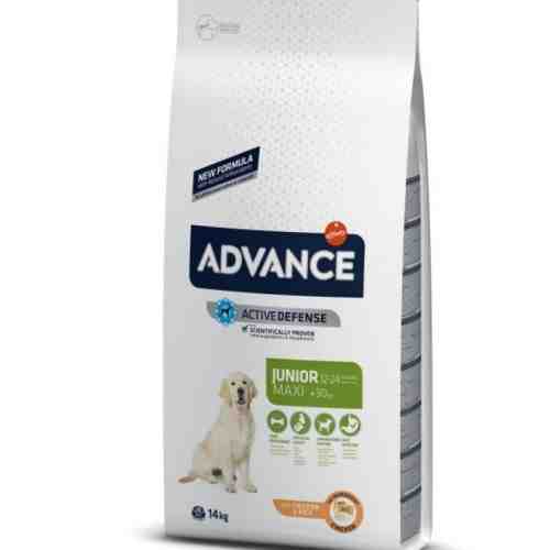 Hrana uscata pentru caini Advance Dog Maxi Junior 14 kg