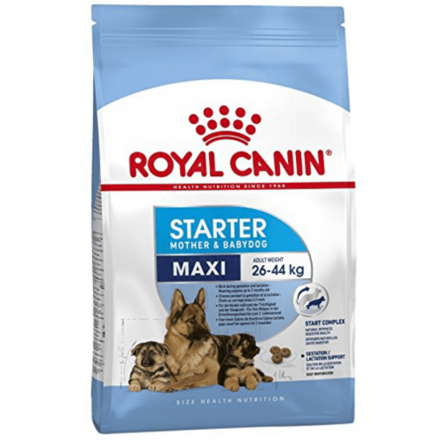 Hrana uscata pentru caini Royal Canin Maxi Starter Mother and Babydog 4 kg