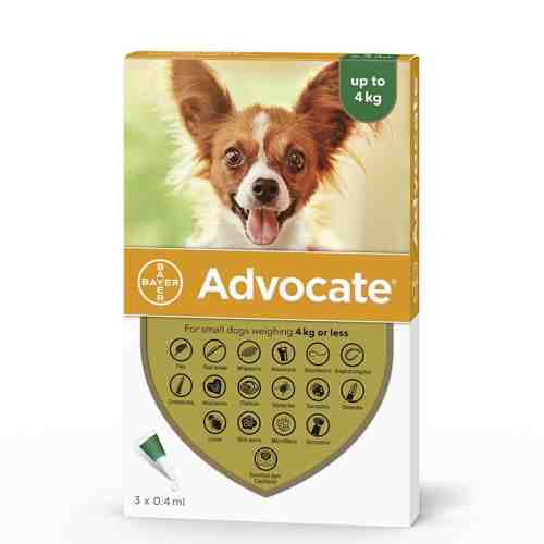 Advocate 40 Caine (0 - 4 kg), 3 pipete