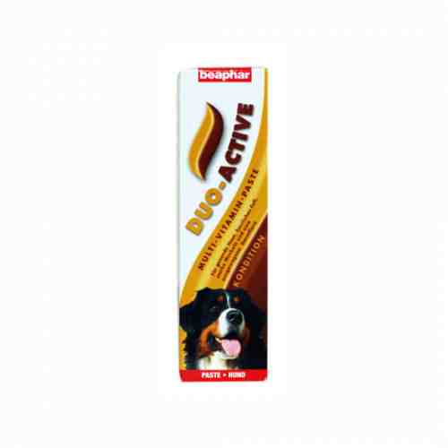 Duo Active Dog 100g