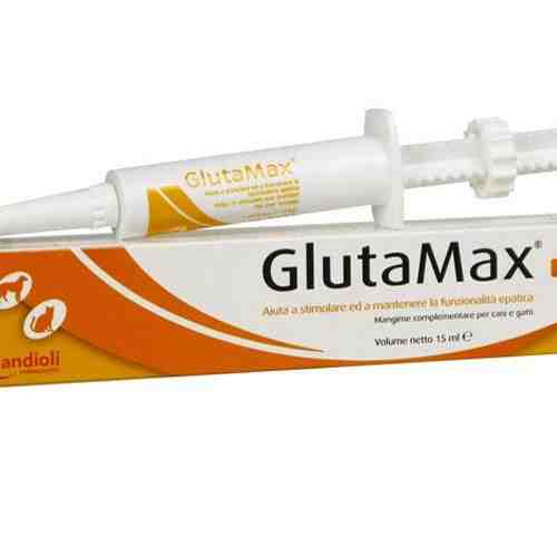Glutamax Forte Cat 15 ml pasta