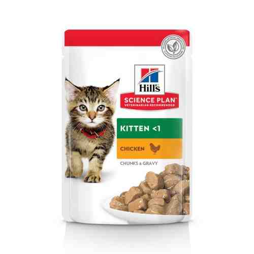 Hill's SP Kitten hrana pentru pisici cu pui 85 g (plic)