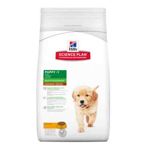 Hill's SP Puppy Healthy Development Large Breed hrana pentru caini cu pui 11 kg