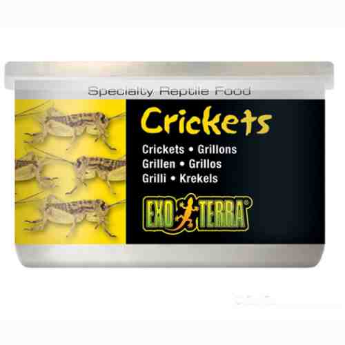 Hrana reptile Hagen Meniu Exo Terra Cricket Greiere XL 34 g