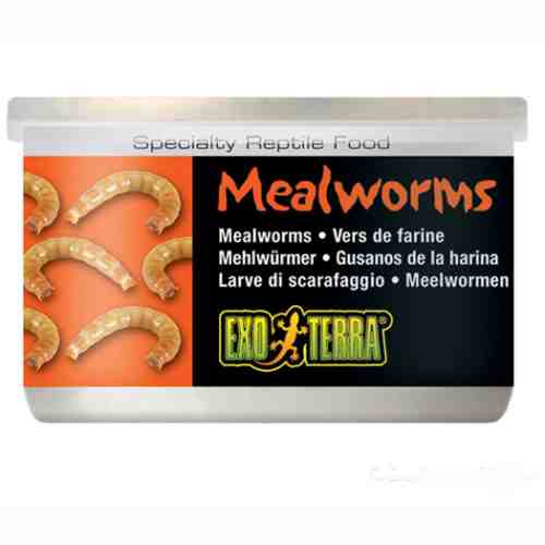 Hrana reptile Hagen Meniu Exo Terra Mealworms 34 g