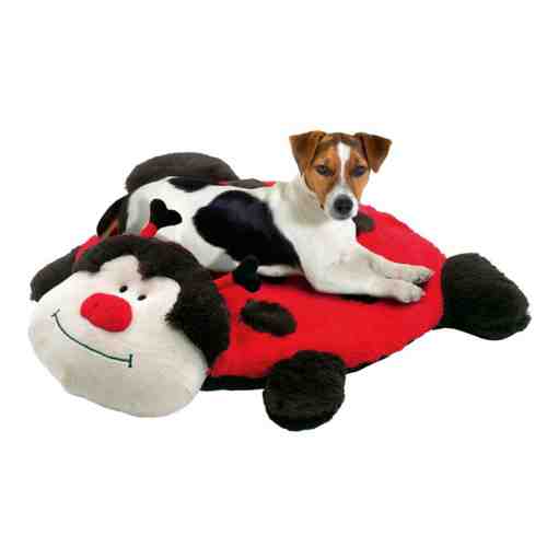 Pet Expert Pernita Caini Lady Bird