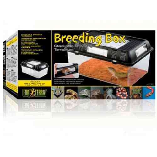 Terariu Plastic Hagen Exo Terra Breeding Box Medium