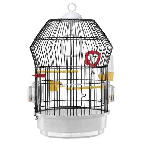 Colivie Katy Black Alb / Negru, 36 x 51