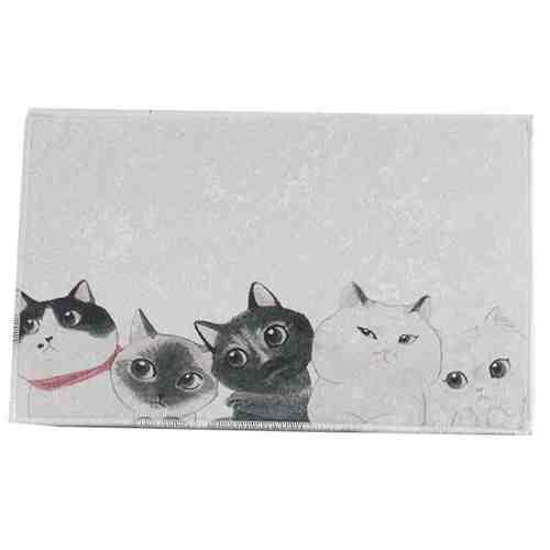 Covoras de baie Curious Cats 40x60 cm