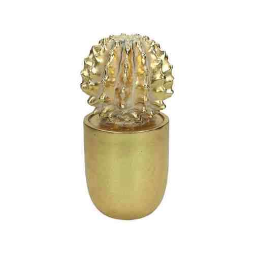 Decoratiune Cactus