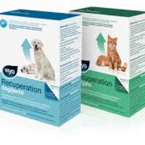 Viyo Recuperation Dog 150ml