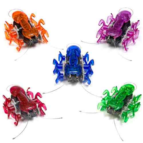 Hexbug Ant