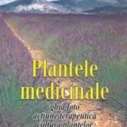 Plantele medicinale - R. Radulescu F. Matei