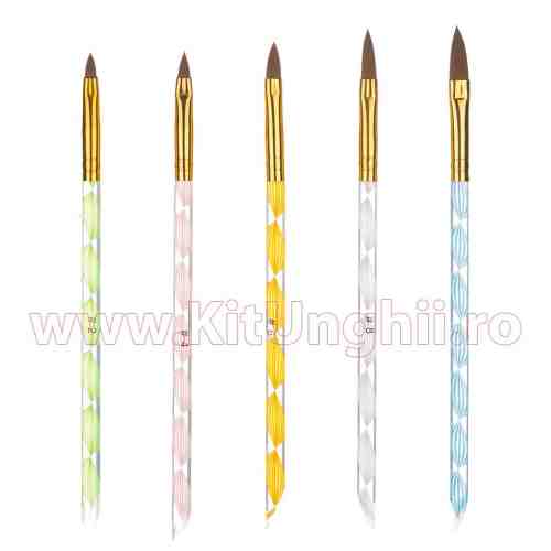 Set 5 Pensule Unghii Speciale Manichiura Acryl
