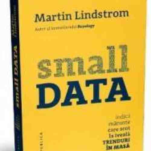 Small data. Indicii marunte care scot la iveala trenduri in masa - Martin Lindstrom