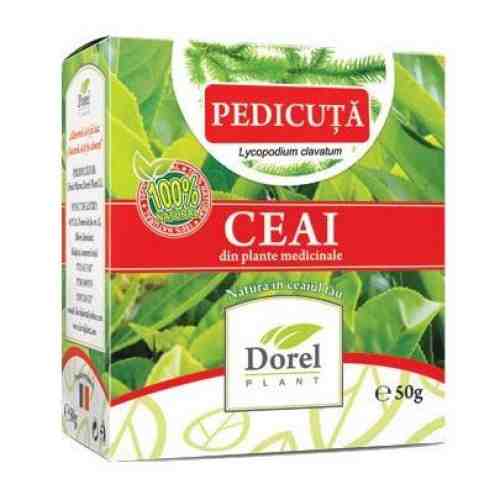 Ceai de Pedicuta, Dorel Plant