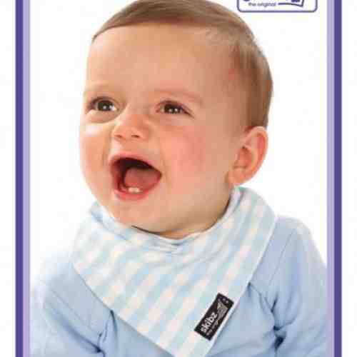 Pale Blue Gingham