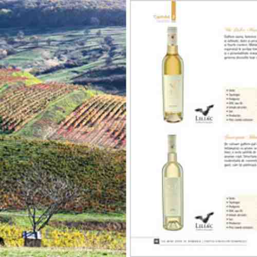 The Wine Book of Romania / Cartea vinurilor romanesti | Marinela V. Ardelean