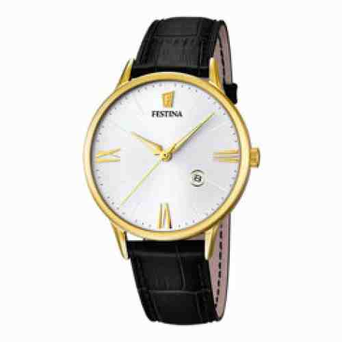 Ceas Festina Correa Clasico F16825/1