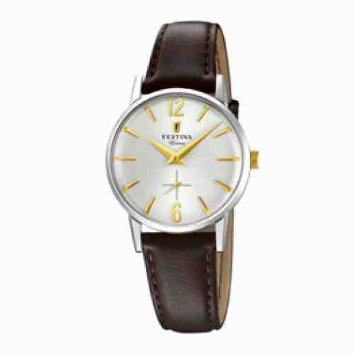 Ceas Festina Extra F20254-2