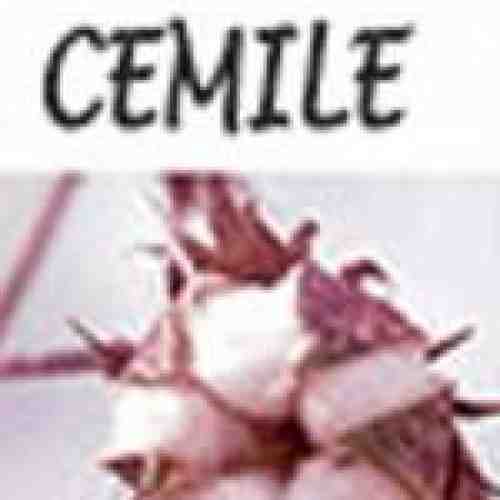 Cemile - Orhan Kemal