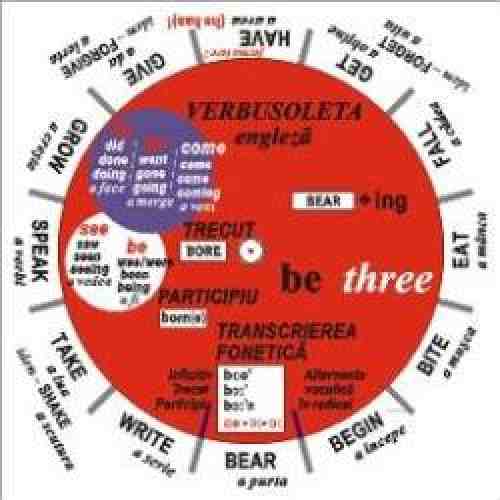 Verbusoleta Engleza - Camelia Stan Dragos Stan